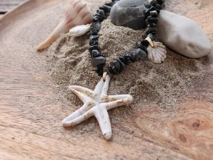 estrella de mar