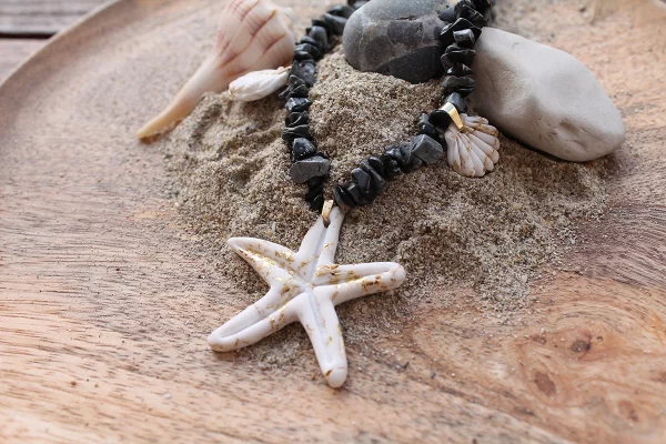 estrella de mar