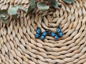 Petit Papillon